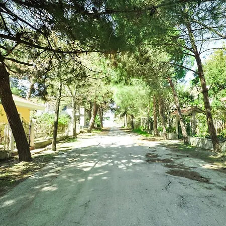 Vlachogiannis Hotel Prinos (Thasos)