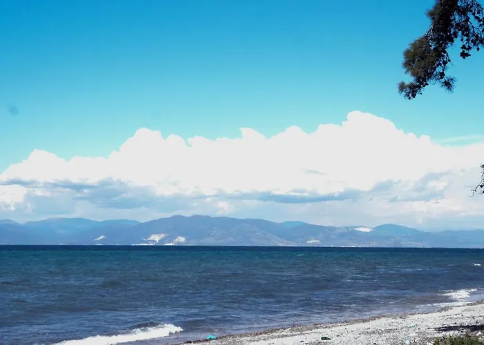 Vlachogiannis Prinos (Thasos)
